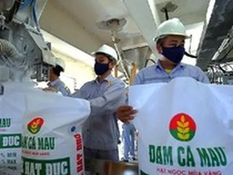 Cổ phiếu phân bón “ngược dòng” thị trường, thu hút mạnh dòng tiền “bắt đáy”