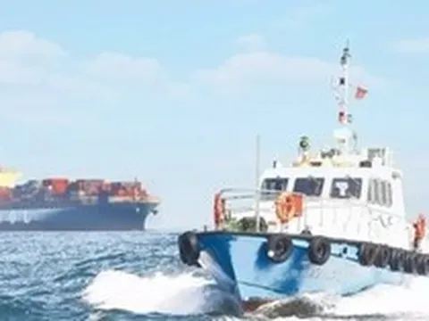 Tàu biển mang cờ Việt Nam được giảm phí vận tải