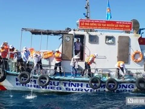 Thả 1,4 triệu con giống từ biển Hòn Cau đến hồ Tà Đùng, chung tay “hồi sinh” nguồn lợi thủy sản