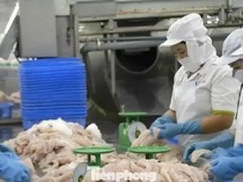 Nhà hàng sushi trong nhóm ‘khó tính’ nhất thế giới dùng cá tra Việt Nam