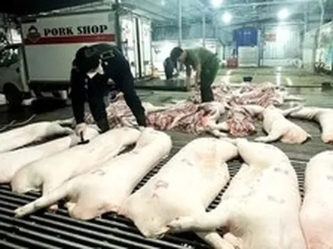 Vụ thịt lợn dịch vào bếp ăn: Nói thẳng về trách nhiệm của ngành nông nghiệp