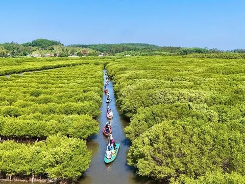 Khám phá “miền Tây thu nhỏ” ở Quảng Ngãi