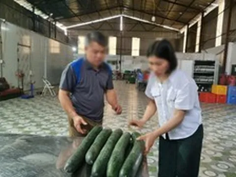 Cơ sở đưa thịt lợn nhiễm dịch tả vào trường mầm non bị phạt 22,5 triệu đồng