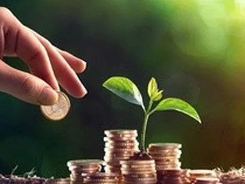 Điểm lại các doanh nghiệp lên kế hoạch trả cổ tức trên 100% mùa ĐHĐCĐ năm 2026