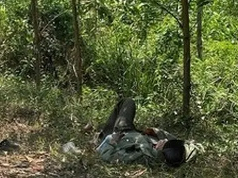 Cụ ông 79 tuổi mang "thỏi vàng" nằm lả bên vệ đường ở giữa rừng tràm