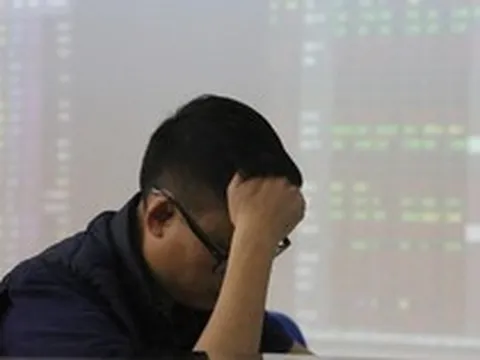 Doanh nghiệp bất động sản đem nửa tài sản đi đầu tư chứng khoán, lãi lớn với HPG, VHM nhưng lỗ đậm với một cổ phiếu ngân hàng