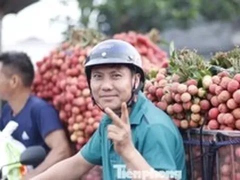 Vải thiều Bắc Ninh sắp vào vụ, doanh nghiệp đổ về 'chốt đơn'