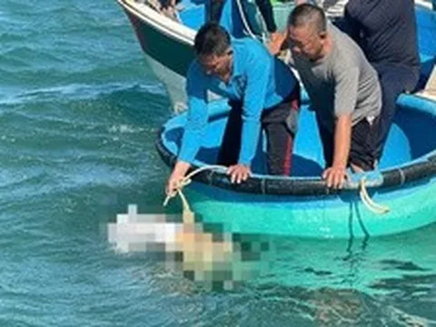 Tìm thấy thi thể thợ hàn mất tích trong vụ cháy tàu ở biển Lâm Đồng