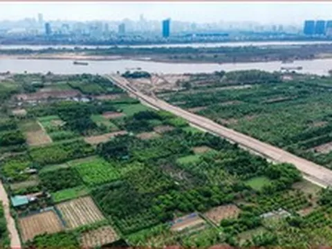 Tin vui: Người có đất nông nghiệp muốn chuyển đổi lên thổ cư thuộc trường hợp này sẽ được giảm 70% tiền sử dụng đất