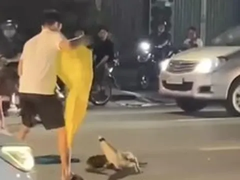 [Clip] Thót tim cảnh cá sấu 'dạo chơi' trên đường giữa trung tâm TP.Đồng Nai