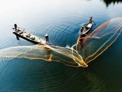 Khối nội tung hàng trăm nghìn tỷ vào chứng khoán Việt Nam, cân lại lực bán ròng từ khối ngoại