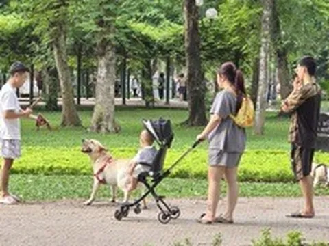 Thông tin quan trọng liên quan đến toàn bộ người nuôi động vật, thú cưng từ 1/8