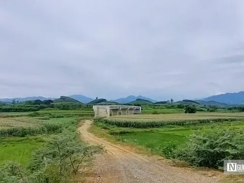 Nghịch lý cây cầu tiền tỷ ở Nghệ An: Bắc qua sông nhưng "cụt hai đầu"