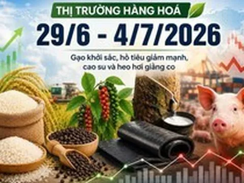 Thị trường hàng hóa tuần qua (29/6 - 4/7): Gạo khởi sắc, hồ tiêu giảm mạnh, cao su và heo hơi giằng co