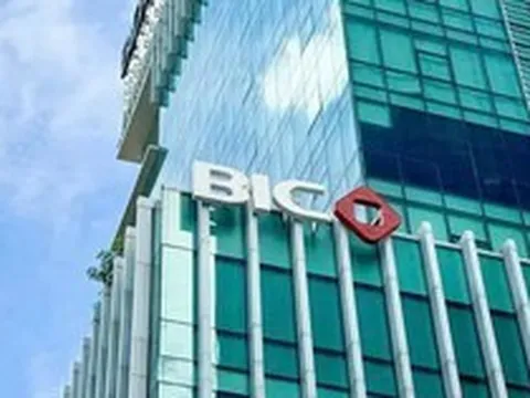 BIC sắp chi hơn 240 tỷ đồng trả cổ tức năm 2025