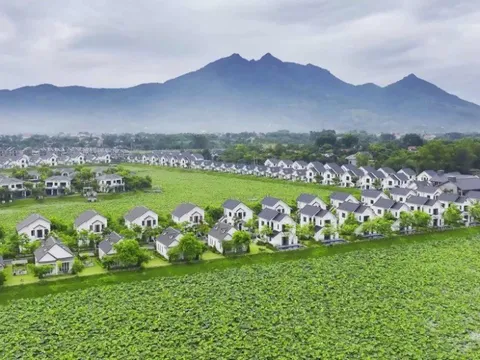Đế Liên Villas: “Kho báu” bất động sản nghỉ dưỡng kết hợp khoáng nóng ven đô