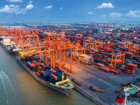 Giá thuê căn hộ chuyên gia tại CBD đô thị cảng: Lực hút bền vững từ hạ tầng và dòng vốn quốc tế