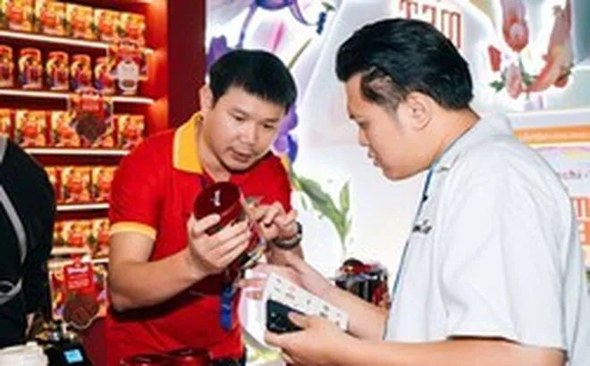 Phủ điểm bán, củng cố thương hiệu: Masan Consumer đạt kỷ lục tăng trưởng doanh thu