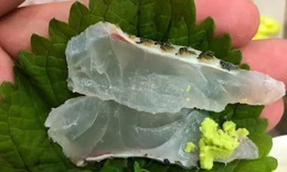 Một loại cá rẻ bèo bán đầy chợ Việt Nam, dinh dưỡng vượt cá hồi, được người Nhật tăng mua để làm sashimi