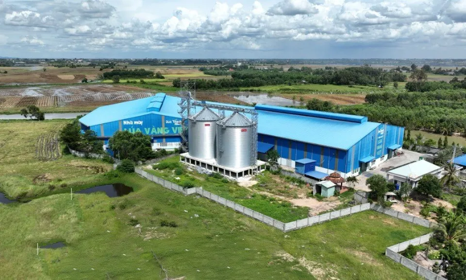 Gạo Lúa Vàng Việt: Hành trình 4 năm khẳng định chất lượng Gạo Tây Ninh